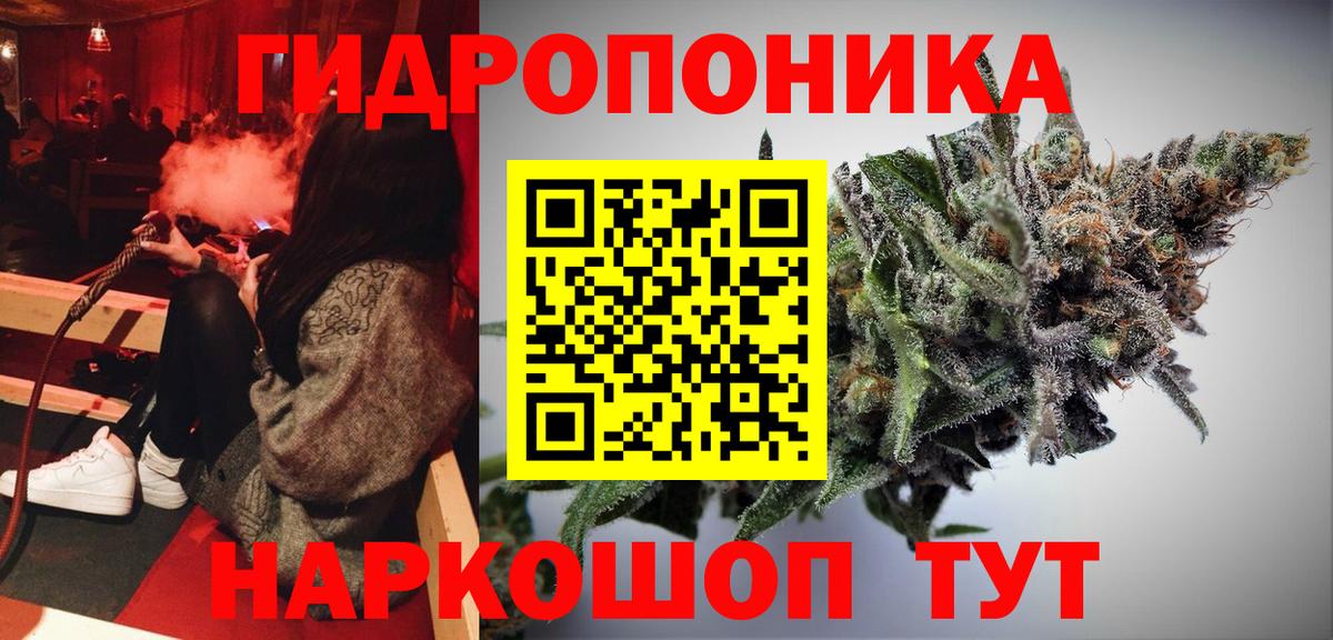 Каннабис планчик Лосино-Петровский